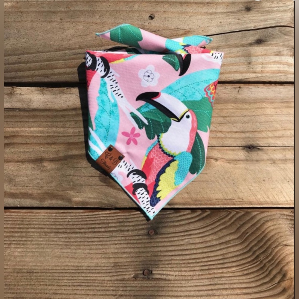 Toucan dog bandana
